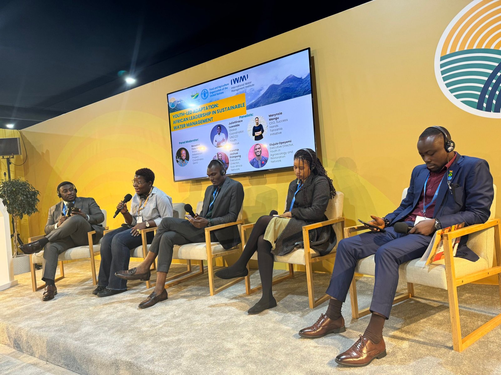 United Nations COP 29