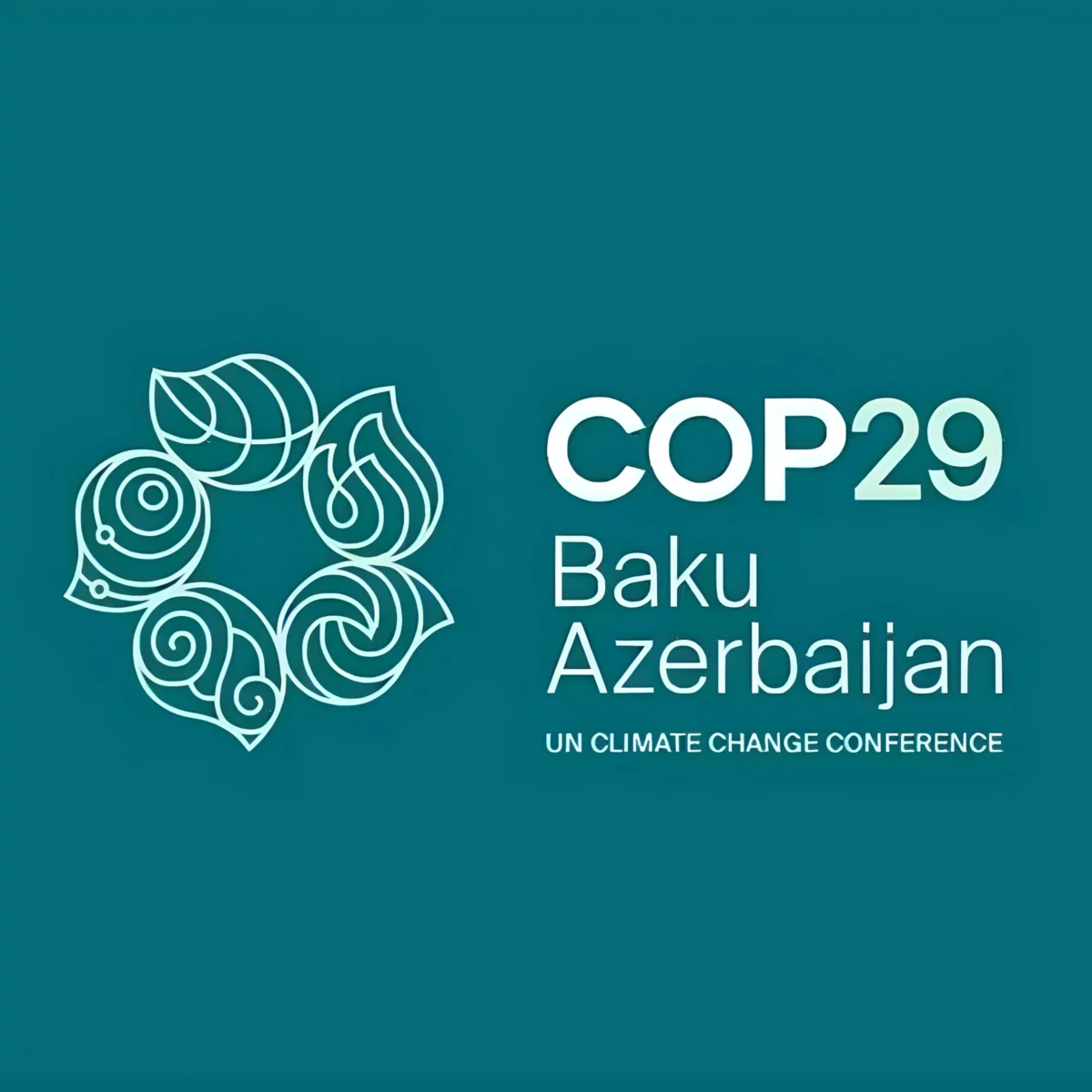 Eco-Africa Network makes debut at COP 29 to contribute to global climate solutions